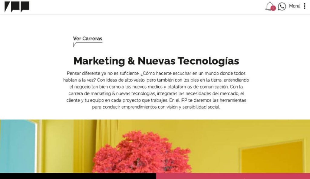Marketing Institutos · IPP: Marketing y Nuevas Tecnologías